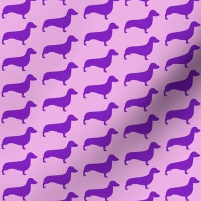 Purple and Pink Dachshunds 