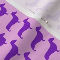 Purple and Pink Dachshunds 