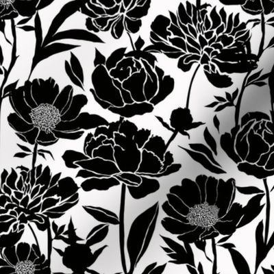 Peonies silhouette floral - Black peony flowers on a white background - medium