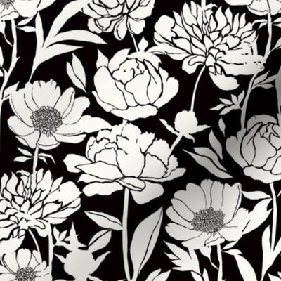Peonies silhouette floral - White peony flowers on a black background - medium