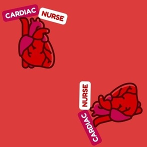 Cardiac Nurse Cardiology Heart Organ Anatomy Anatomical Medical Cardiologist
