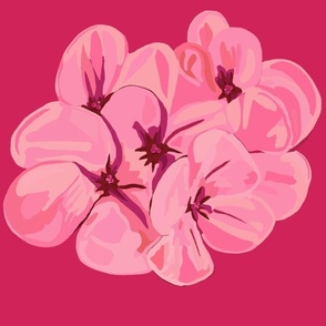 Floral pink geraniums - extra large print