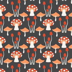 Mushrooms 7