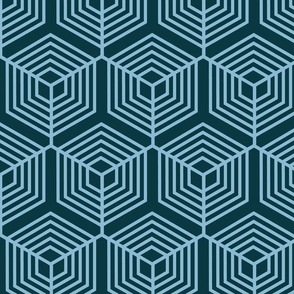 hexagonal-web