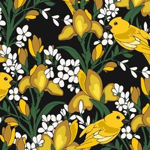 Birds and flowers. Yellow and black