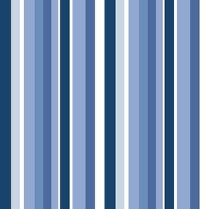 Classic blue stripe normal scale