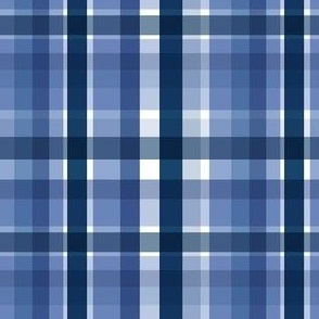 classic blue tartan normal scale