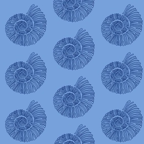 nautilus seashells,  the blues, fabric design 6" repeat