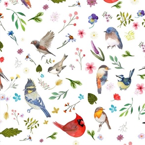 Bird Lover | Bird Nerd | Bird Watcher - White Background