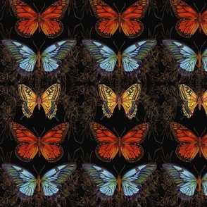 Dark Multicolored Butterflies