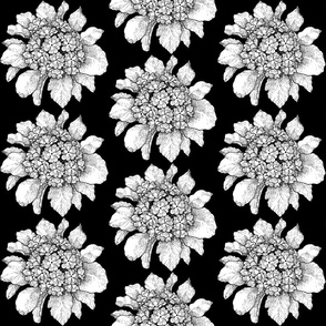 Black And White Floral Stripes medium
