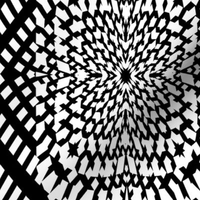 Black And White Kaleidoscope small