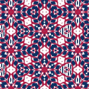 4th of July Ikat pattern medium