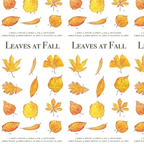 Autumn leaves collection watercolour