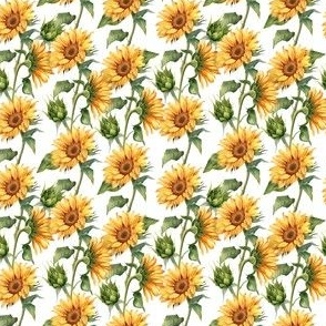 Sunflower Pattern C