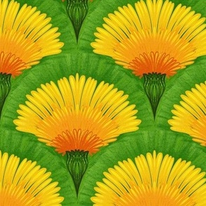Bright yellow dandelions