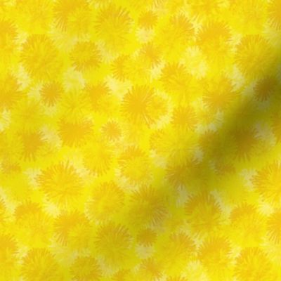 Yellow dandelions flourish
