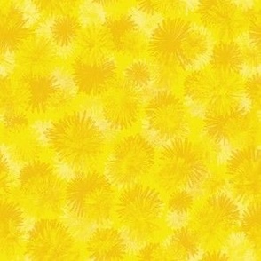 Yellow dandelions flourish