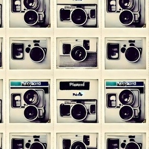 vintage polaroids