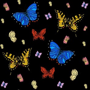 Butterflies - Black Background