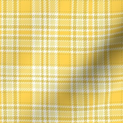 Railroads and Fields Plaid in Baby Yellows