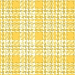 Railroads and Fields Plaid in Baby Yellows