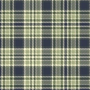 Railroads and Fields Plaid in Bayeux Palette 5