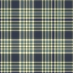 Railroads and Fields Plaid in Bayeux Palette 6