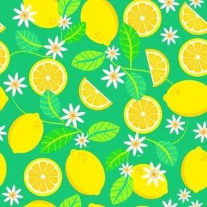 Lemons Green  - Lisa Monias