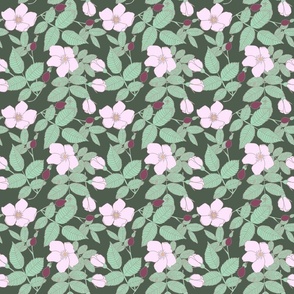 Wild Rose Flower and Rose Hip on Forest Green