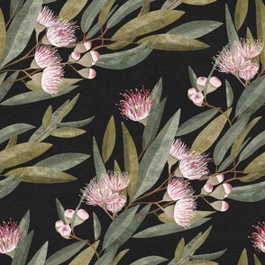 Pink Australian Eucalyptus in muted tones (diagonal) on charcoal black