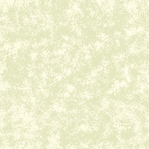 Moss background | Moss Sheep Collection