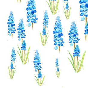 blue grape hyacinth pattern