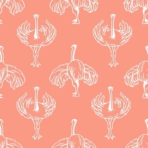 Ostrich Dance Lines Art, Pink