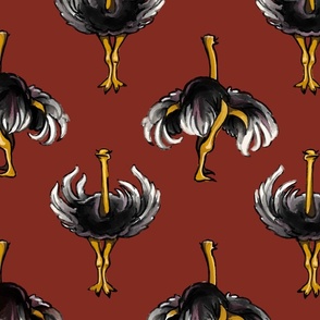 Ostrich Dance, Maroon