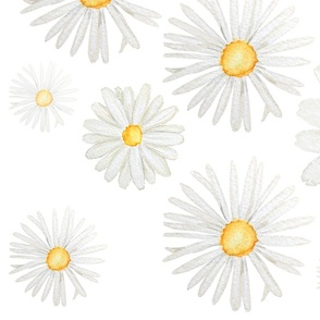 white daisies pattern watercolor 