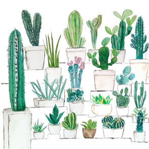 cactus garden watercolor 