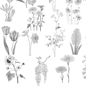black and white flowers collection 