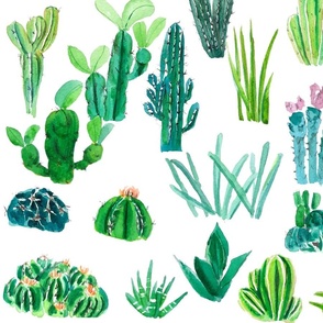 botanical cactus collection painting