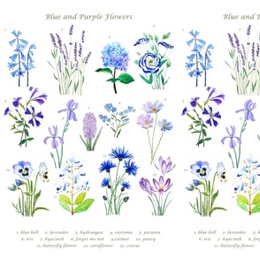 blue and purple  flower collection watercolor 