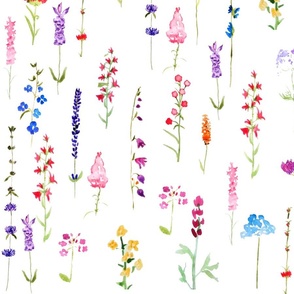 colorful wildflower pattern watercolor painting 