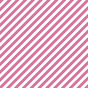 Classic Diagonal Stripes // Apple Blossom and White