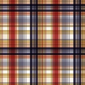 Frances Plaid Almond Steel Small Scale