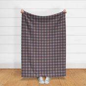 Frances Plaid Scarlet Gray Small Scale