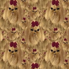 Shihtzu Blonde with Bow abt. 2"