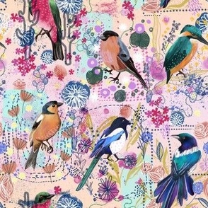BIRDS - blue, orange, pink birds on pink and orange