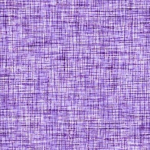 2551 large - Linen Texture - Violet