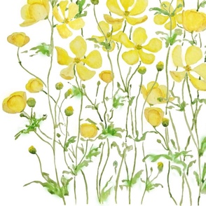 yellow buttercup flowers field watercolor 