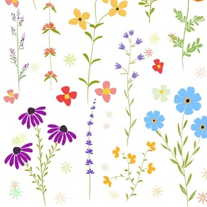 colorful spring  wildflower pattern 2022