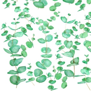  eucalyptus leaf  pattern